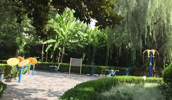 危情玫瑰，裴少毒深似海